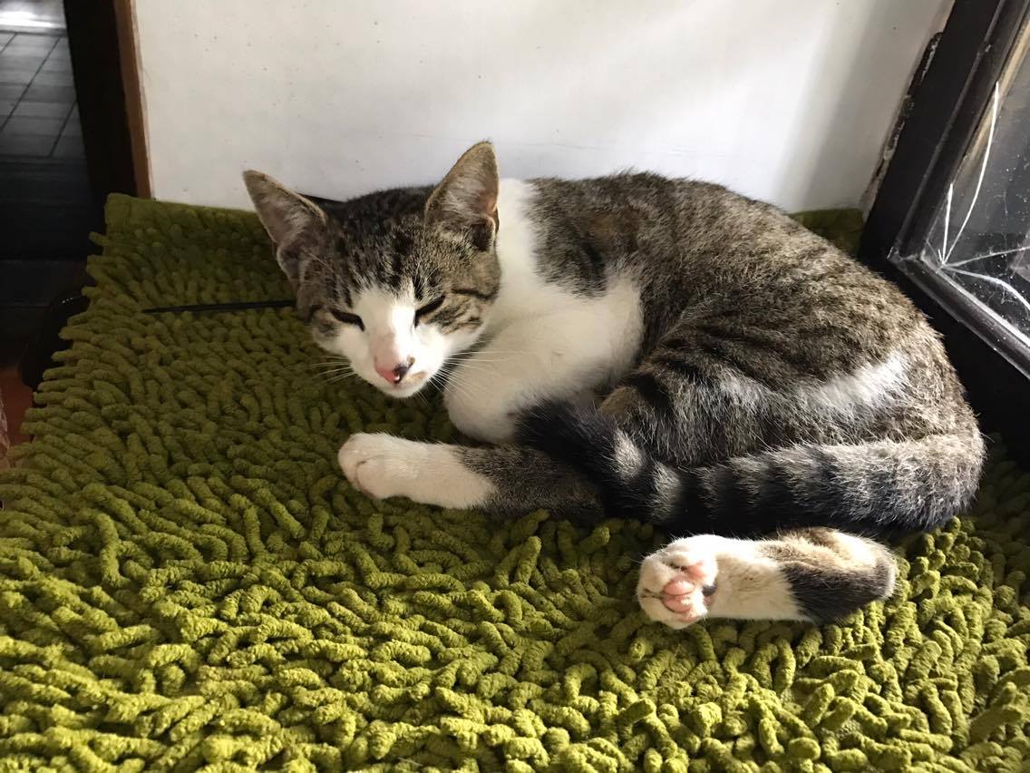 15122998_710369839127622_2018494378273666637_o