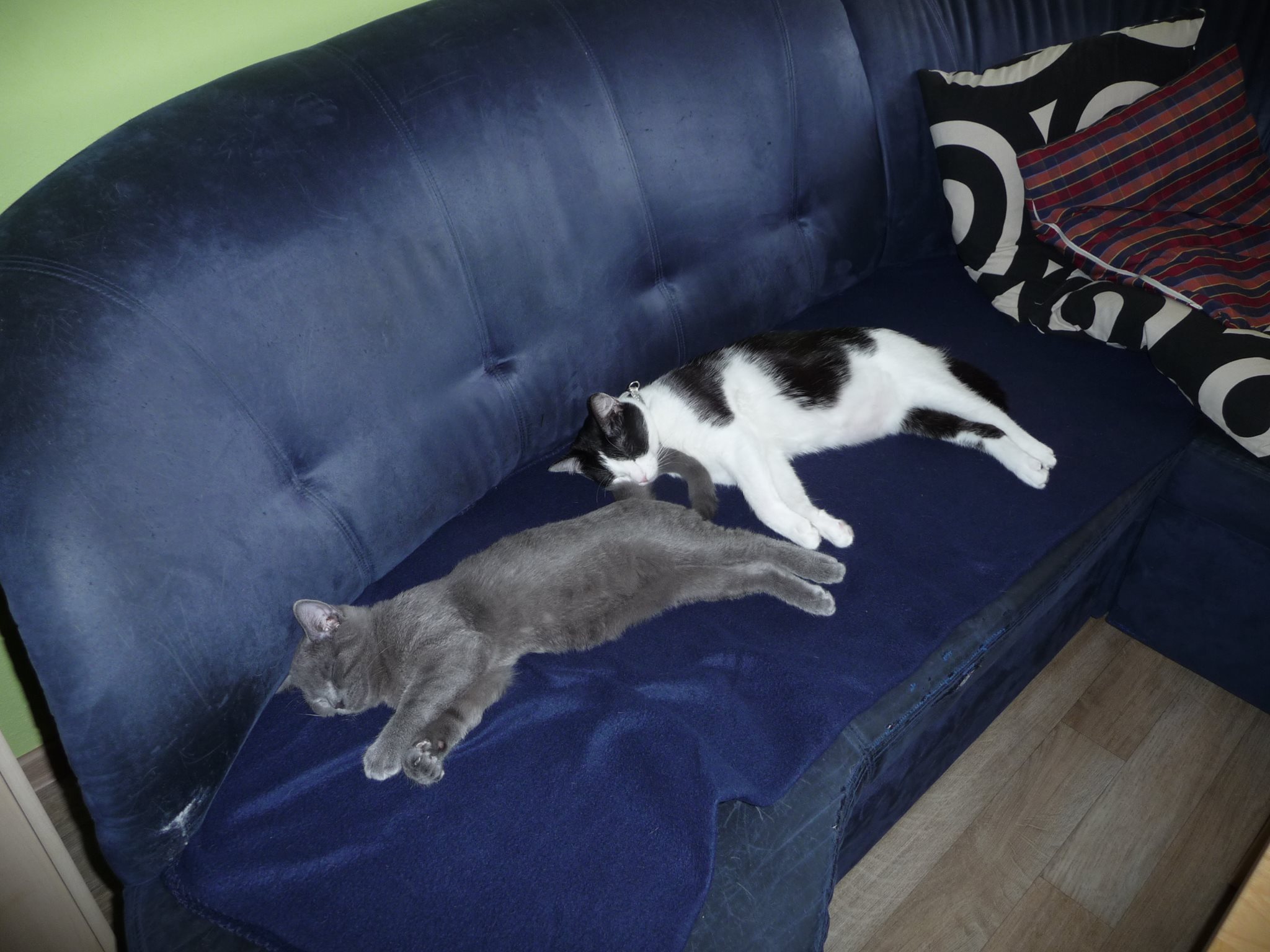 15126031_1363408663677605_1643279443_o