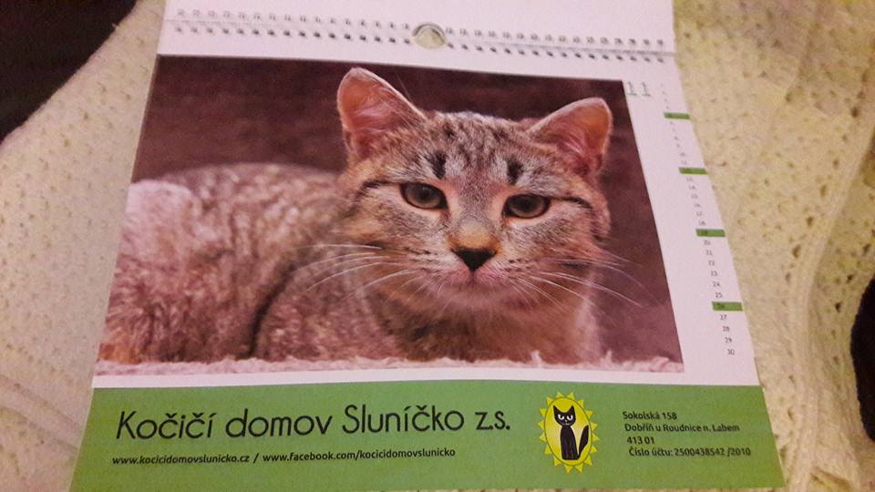 15134601_10205948475790101_2993715913243394726_n