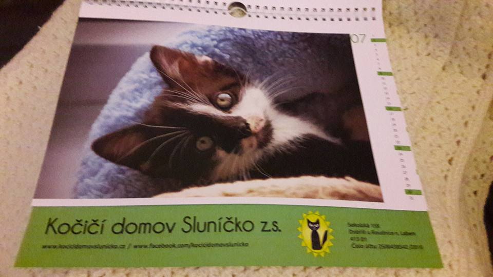 15134795_10205948474830077_4586297029147249392_n