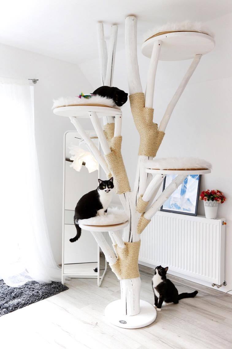 15146917_10202407031613187_1165506925_o