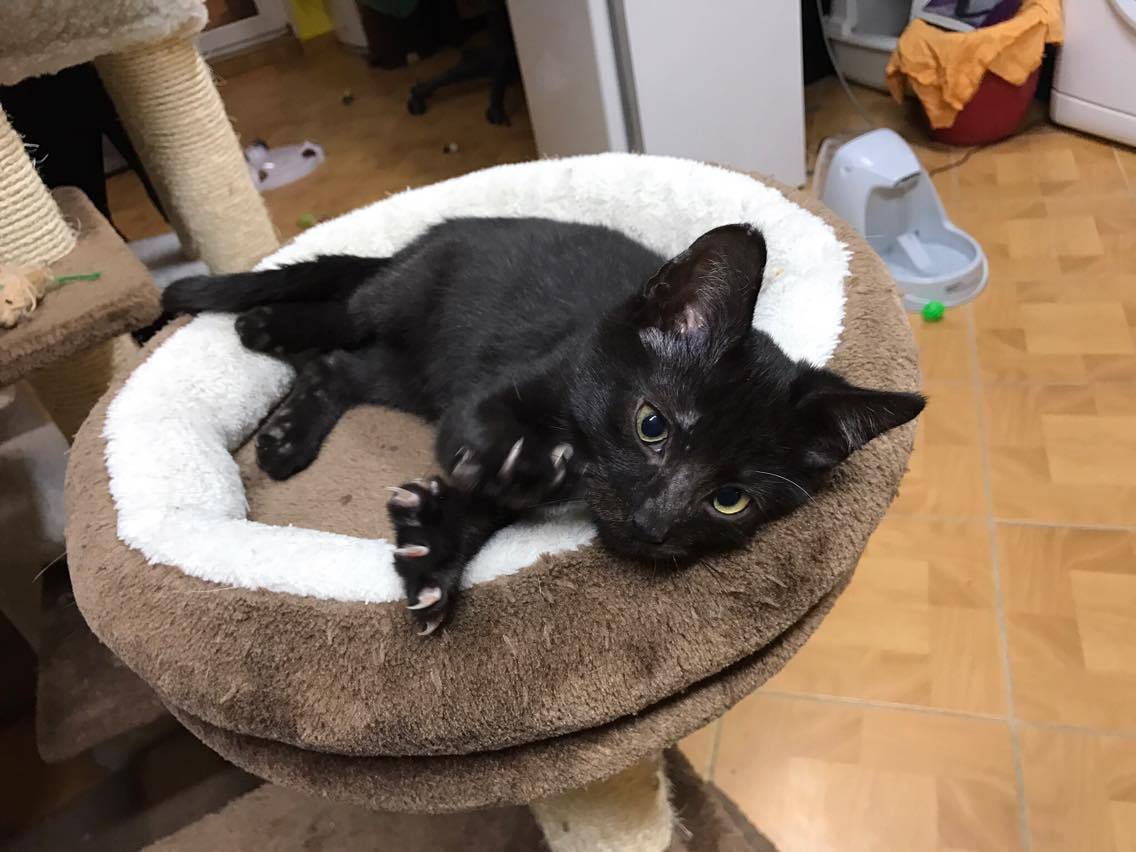 15152924_10211554377638920_2124523037_o