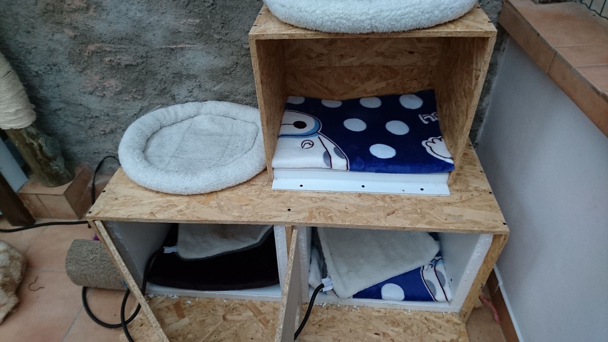 15168710_712805905550682_3453855897785517289_o