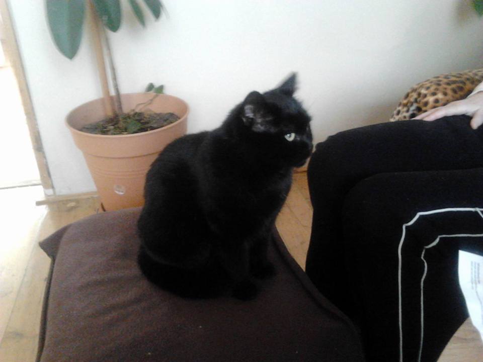 15178162_716612925169980_4397833520370929621_n