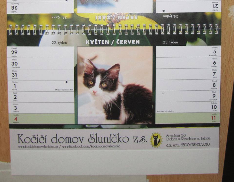 15178991_715696205261652_7709243188364745216_n