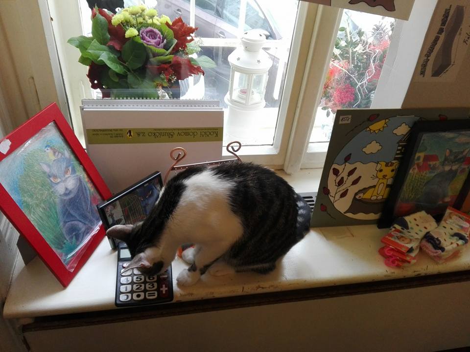 15181198_10209539562858334_3199072549555787981_n