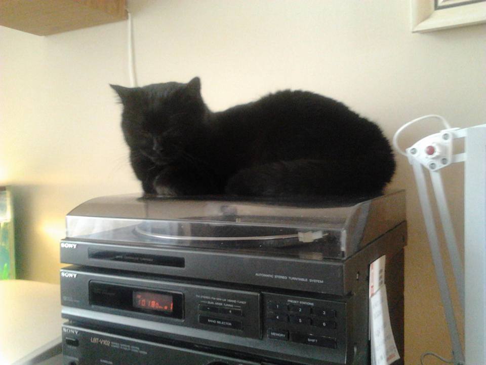 15181238_716612901836649_5543544413405932577_n