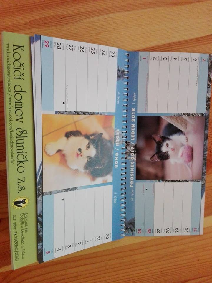 15181292_10209539444575377_8136823470031696656_n