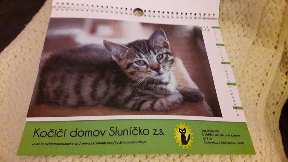 15181491_10205948475430092_2671797589113788444_n