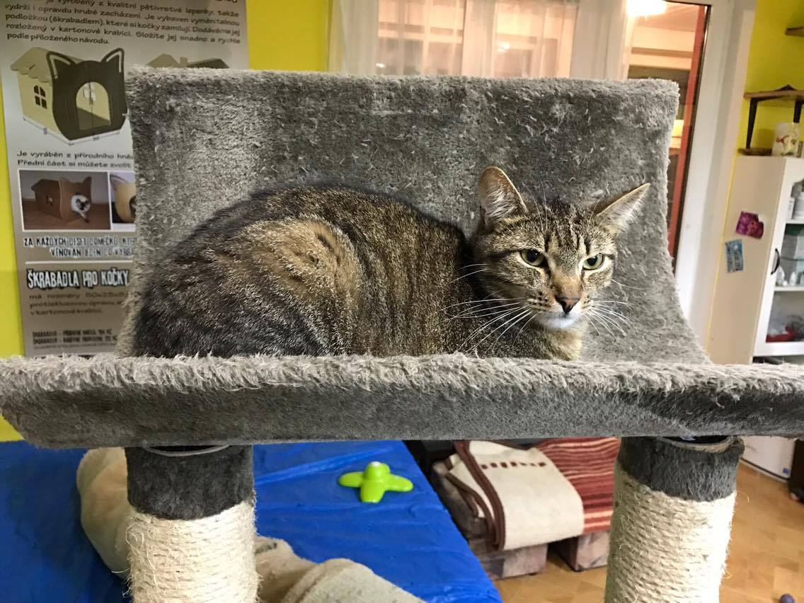 15182450_10211554378558943_2074723332_o