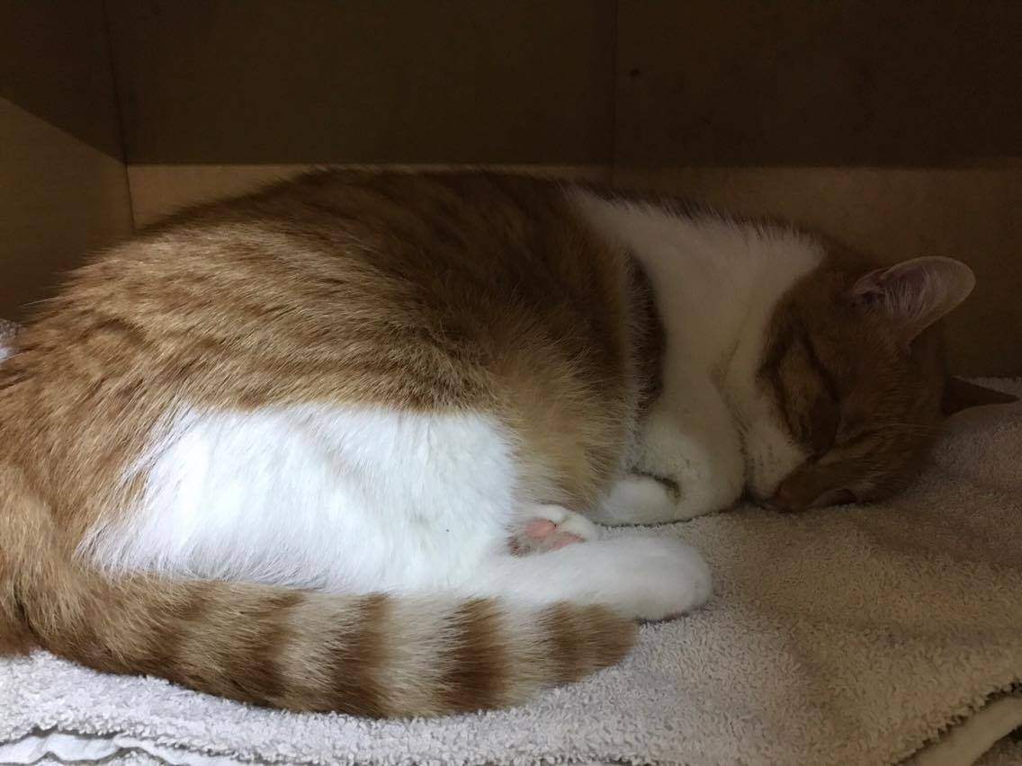 15182573_10211554376998904_1846865759_o