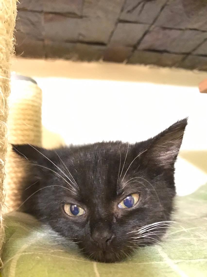 15183963_10211554376318887_32206709_o