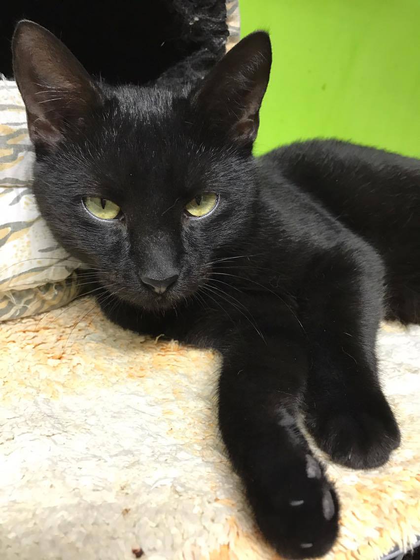 15183971_10211554376878901_1336758018_o