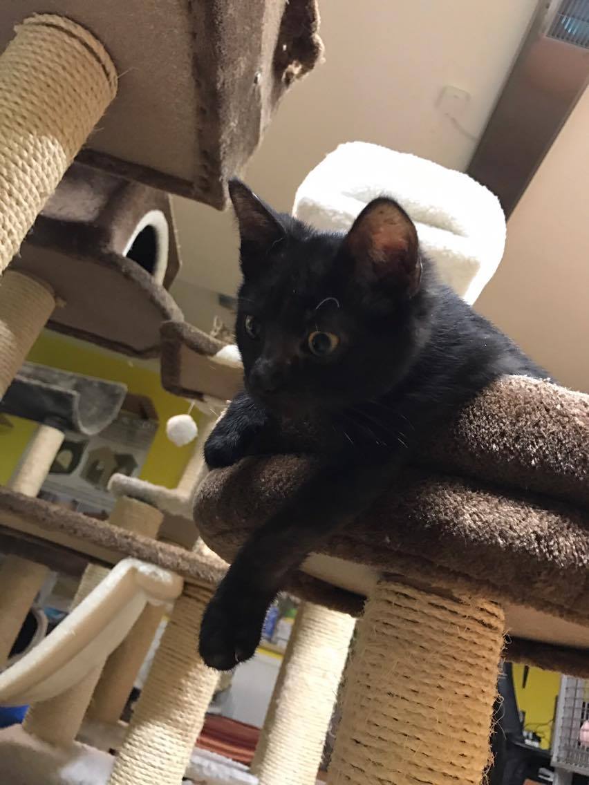 15184034_10211554377038905_1828221730_o