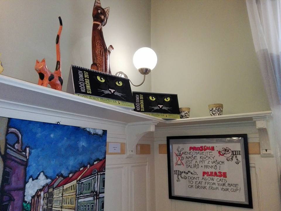 15202640_10209539444535376_8474709986886982572_n