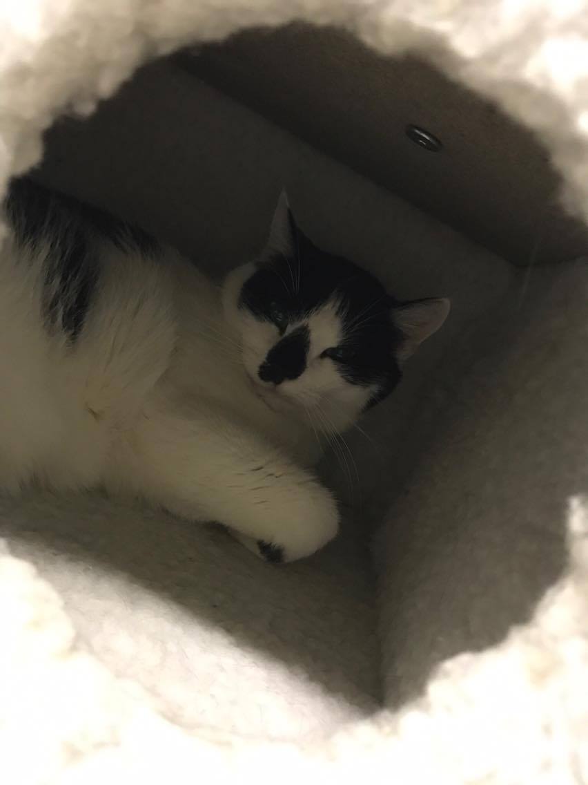 15204300_10211554377878926_1523079553_o