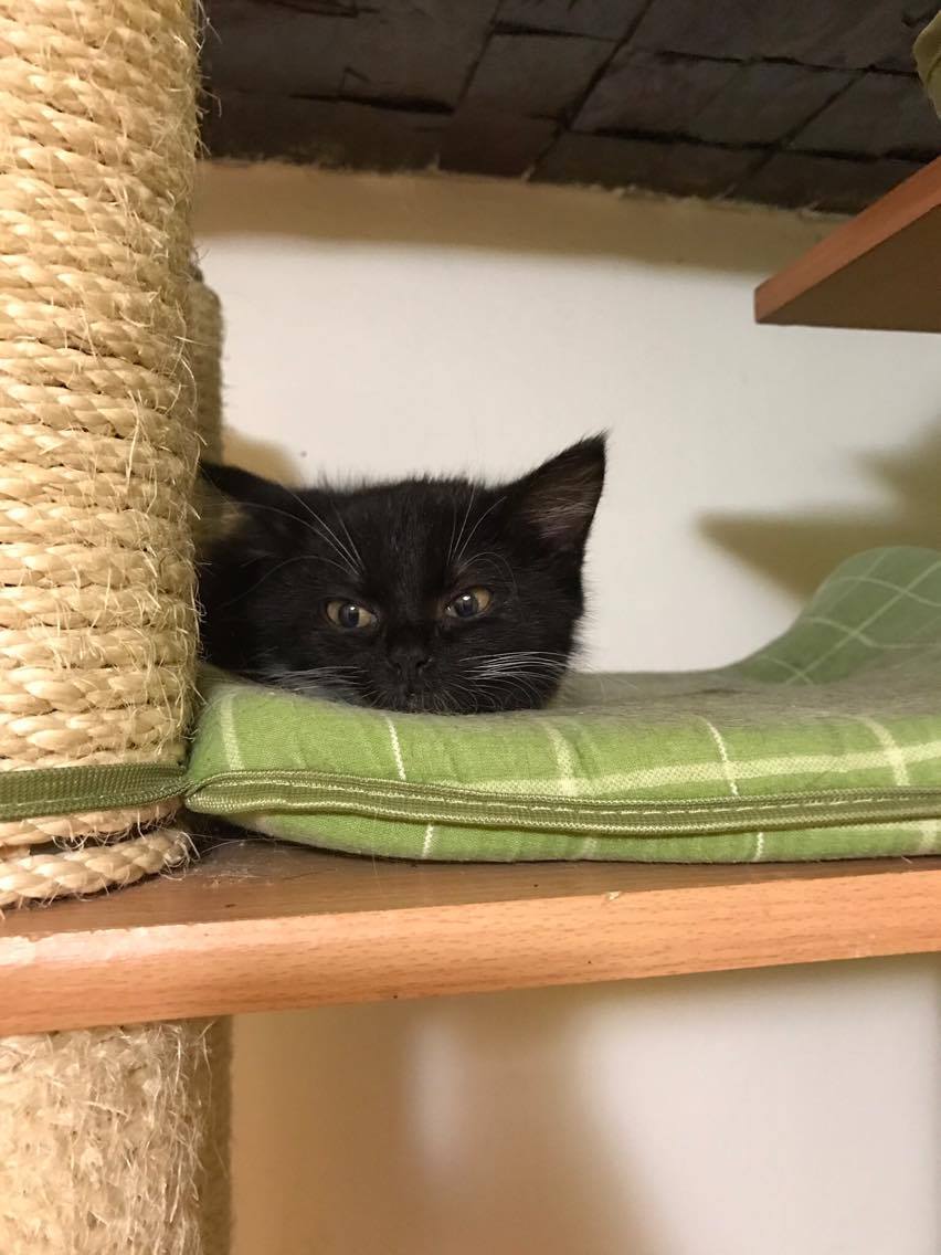 15215958_10211554376518892_1853460906_o