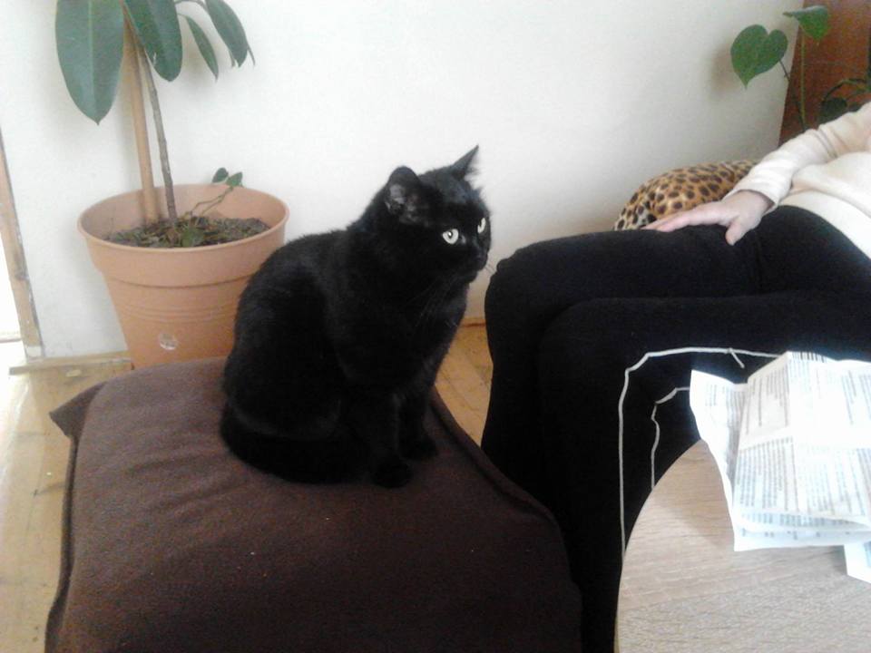 15219412_716612885169984_3037435391448621351_n