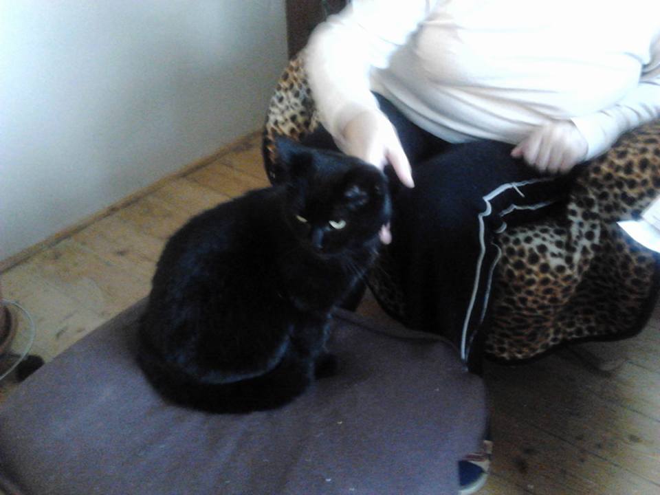 15220101_716612958503310_794340189954647760_n