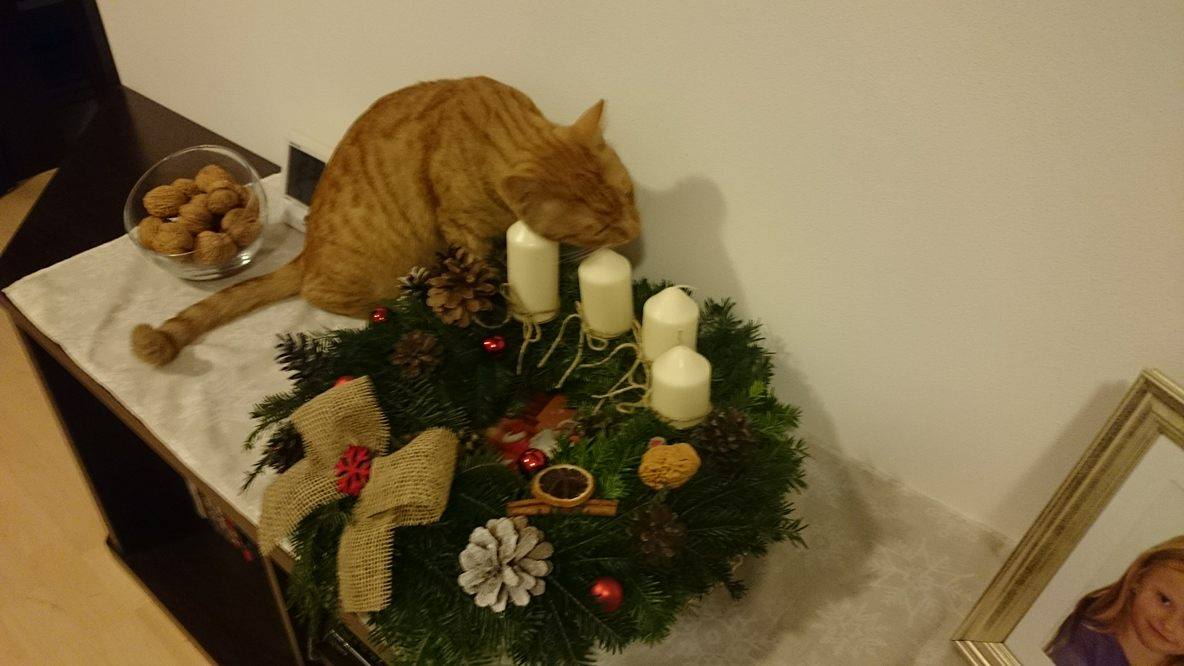 15224751_10207743542655667_1314158310_o