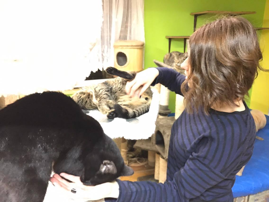 15224804_10211554377438915_197516310_o