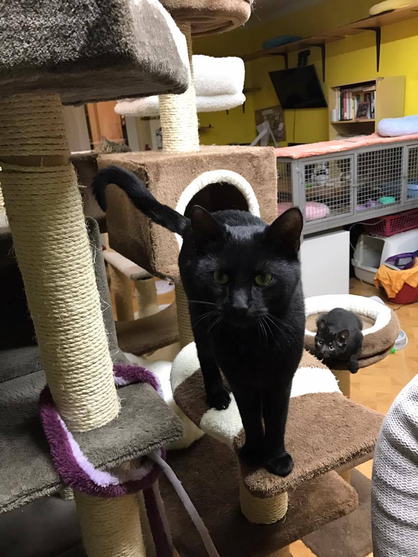 15224831_10211554376958903_1593031951_o