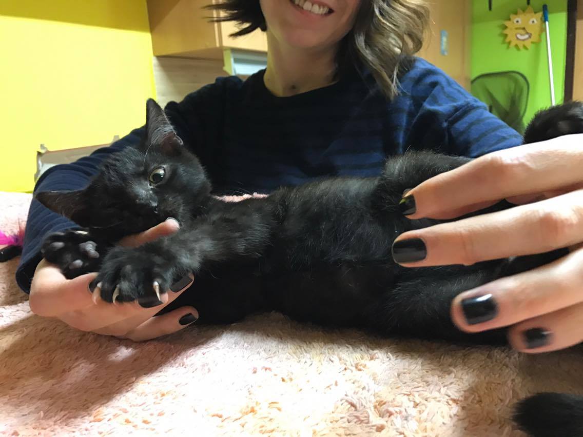 15225209_10211554378918952_2132377746_o