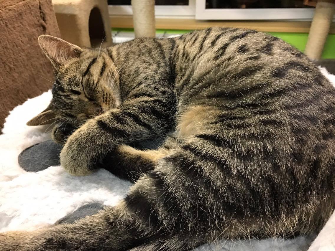 15225294_10211554378118932_2056370648_o