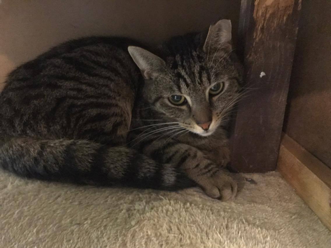 15225352_10211554377918927_378726397_o