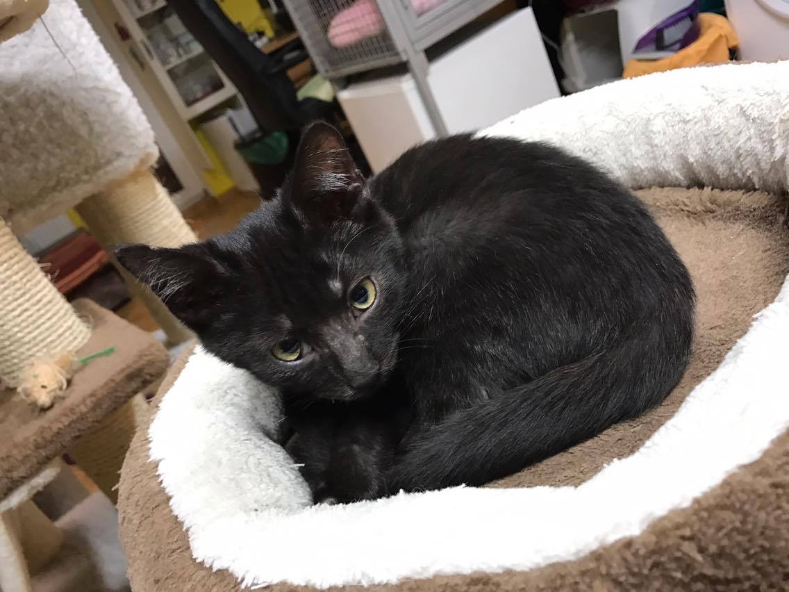 15225403_10211554376678896_250378714_o