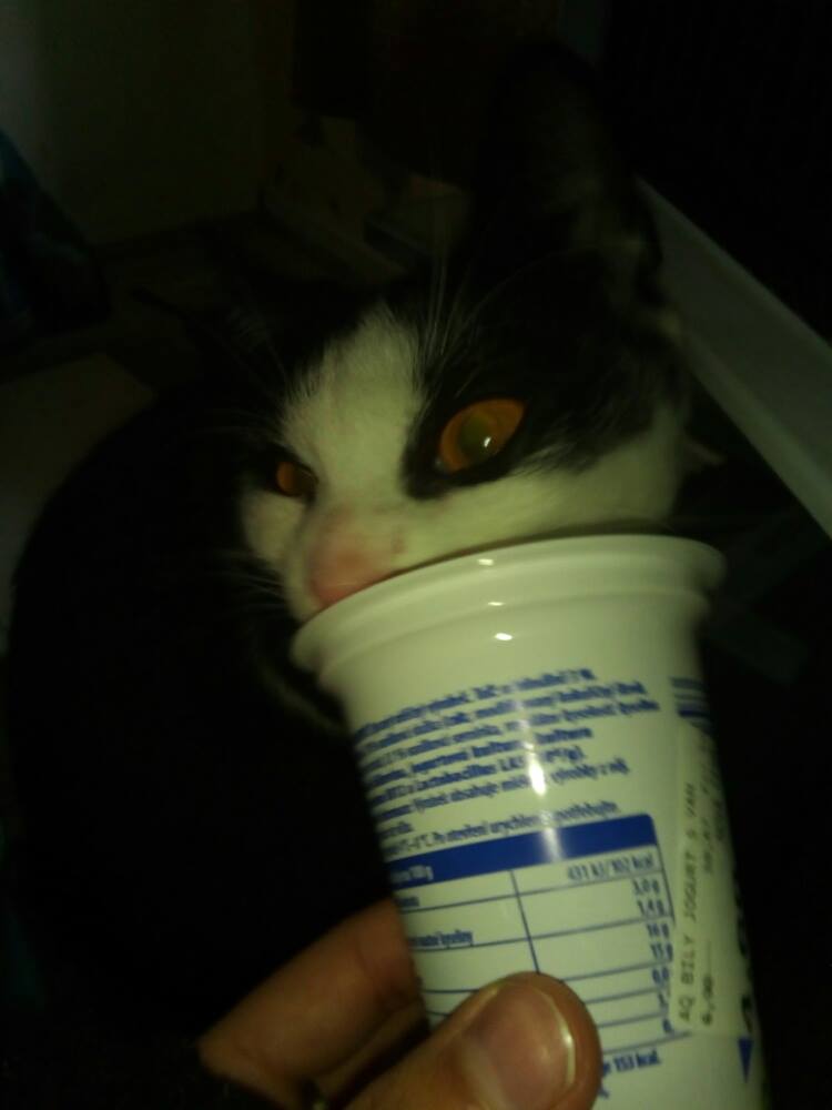 15231622_465918470245132_1789662970_o