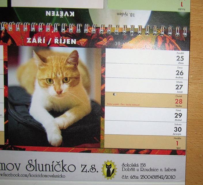 15241197_715695978595008_8160494585594331938_n