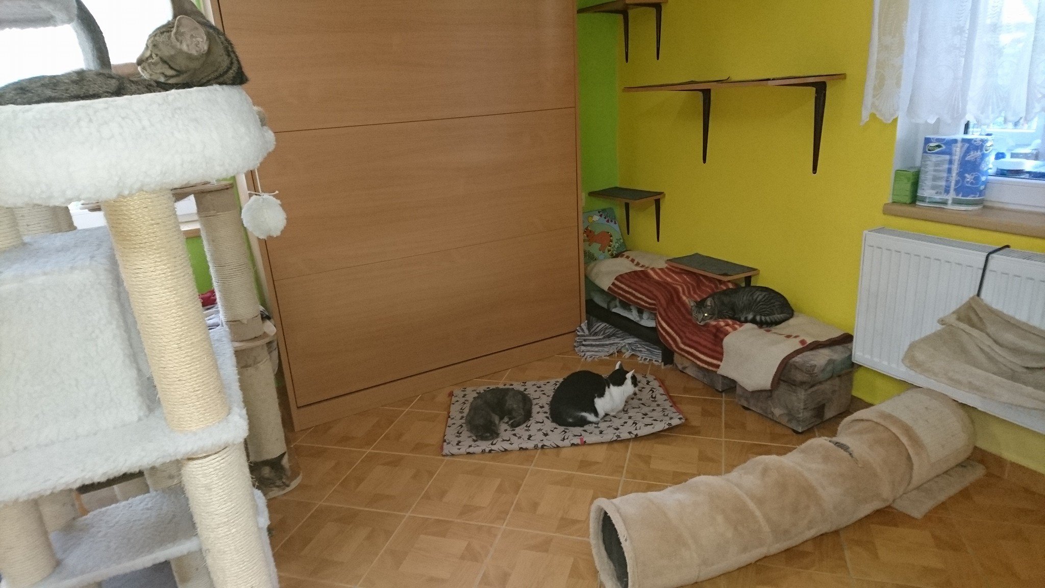 15250774_716883651809574_4957654692230291608_o