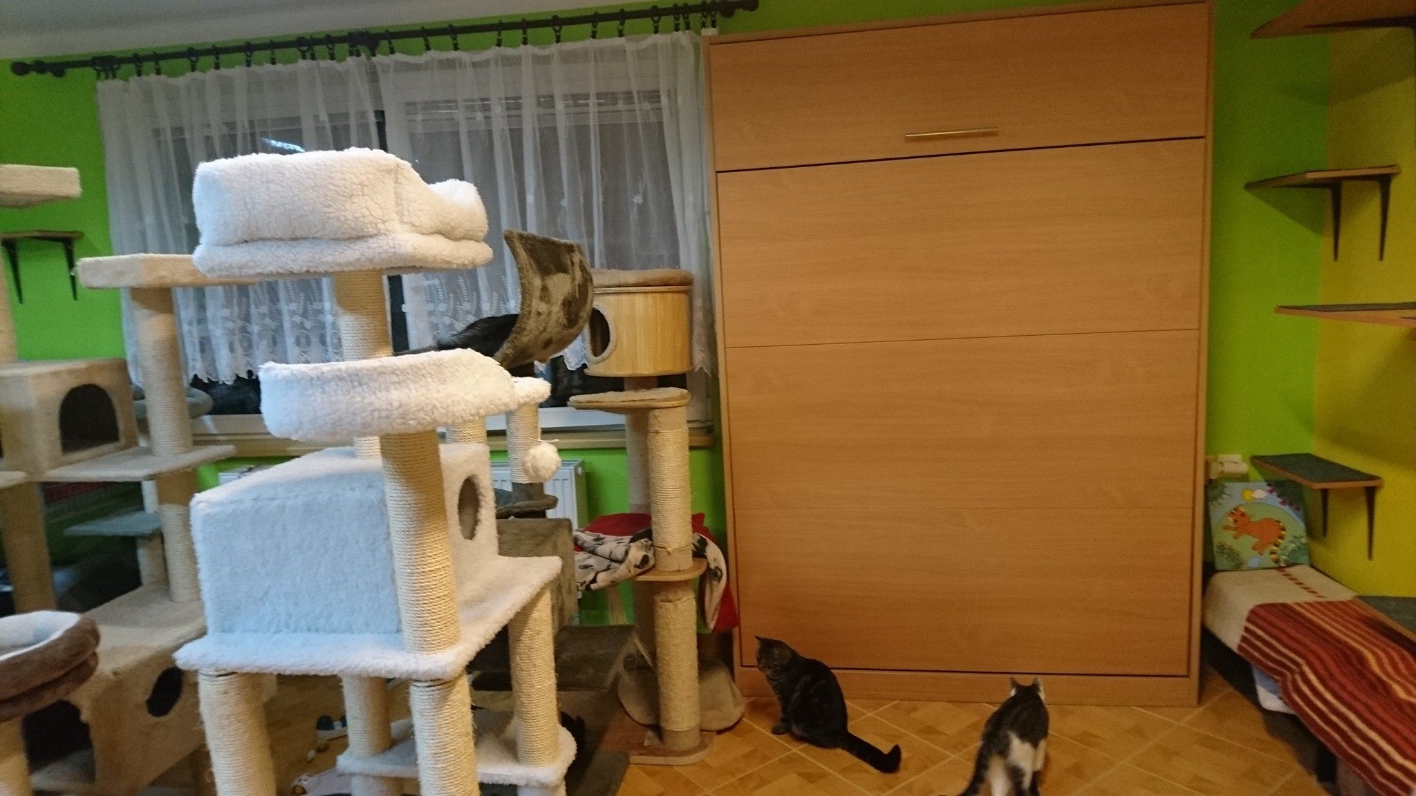 15252502_715320945299178_337568020296142913_o