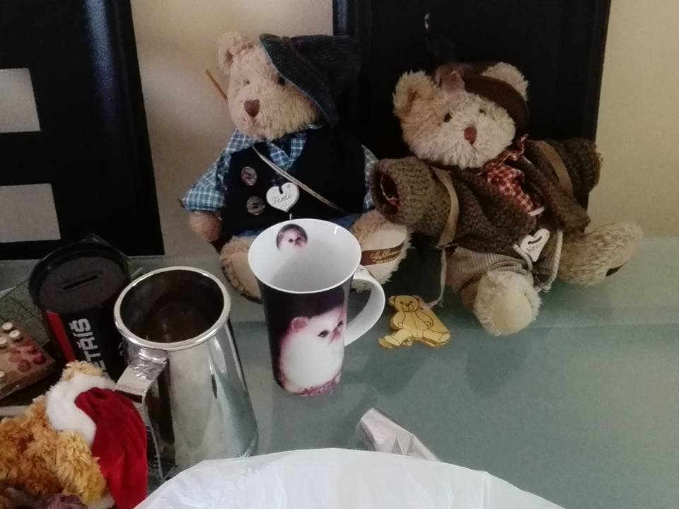 15253438_10209529823334852_1736770533968455004_n