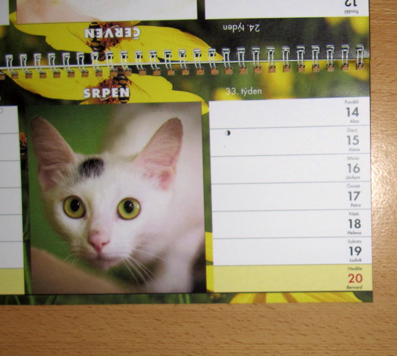 15259205_715696088594997_6032724197163685155_o