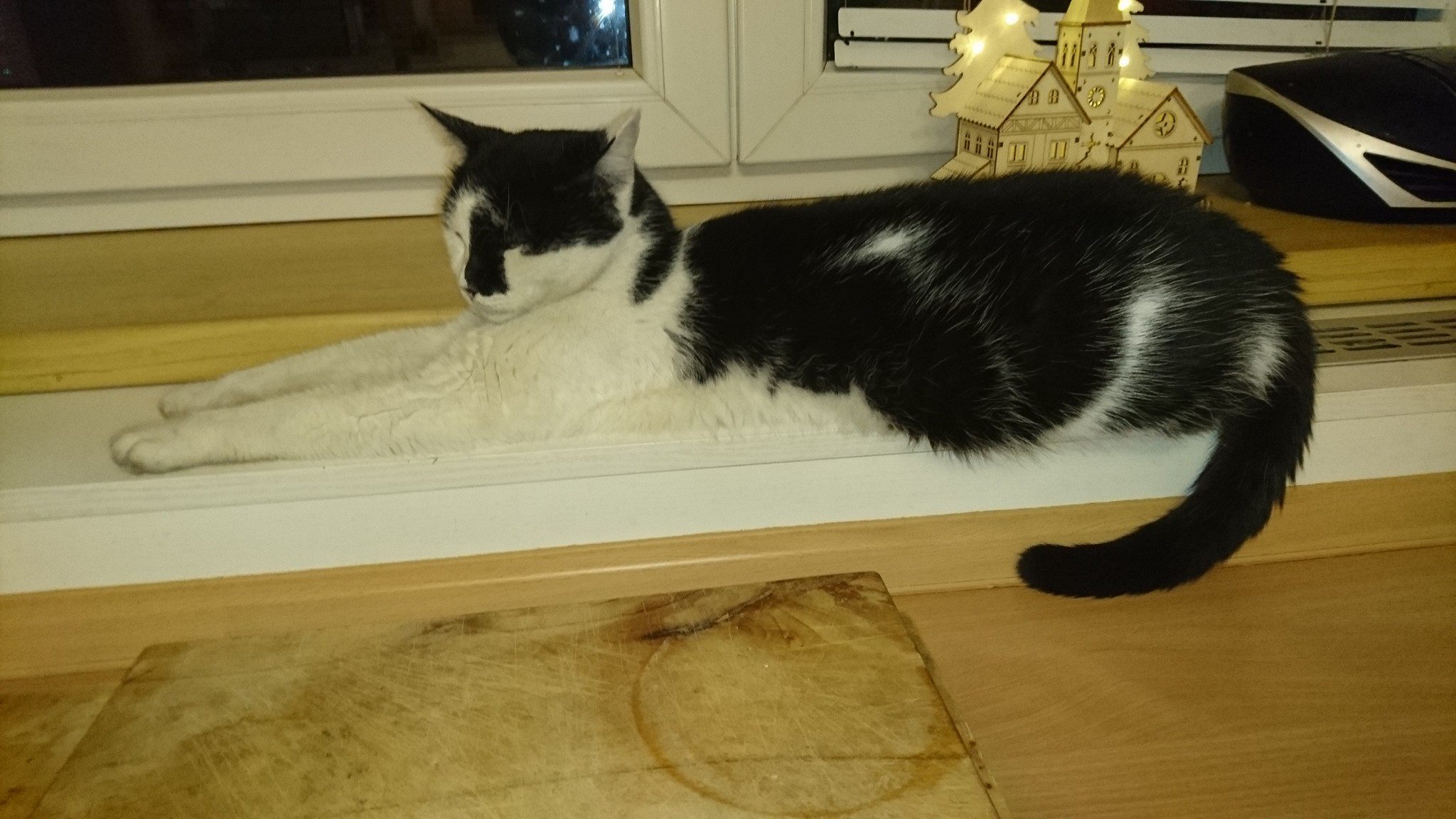 15259231_716881635143109_4269164159223214420_o