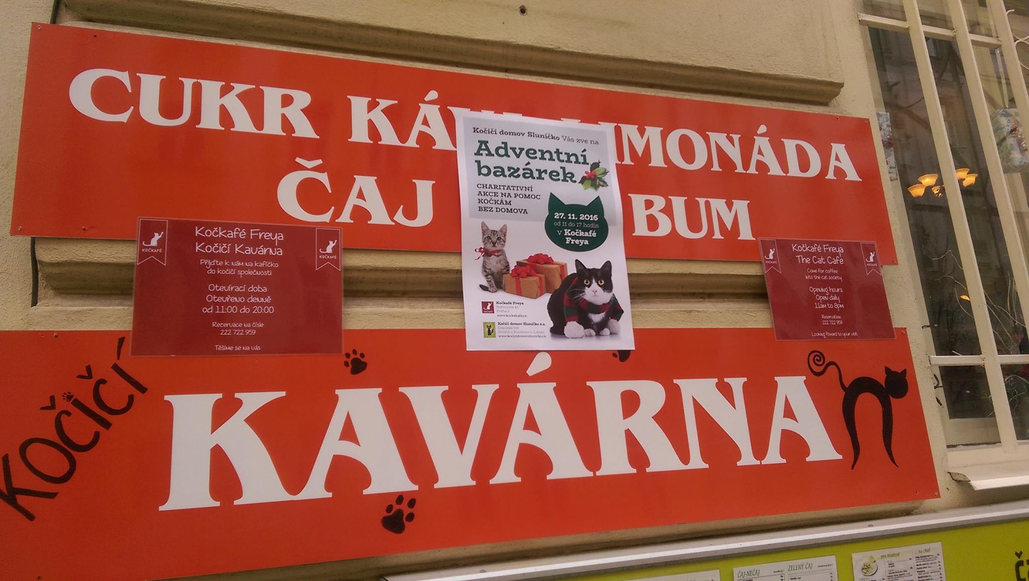 15259337_714903525340920_628922477564405974_o