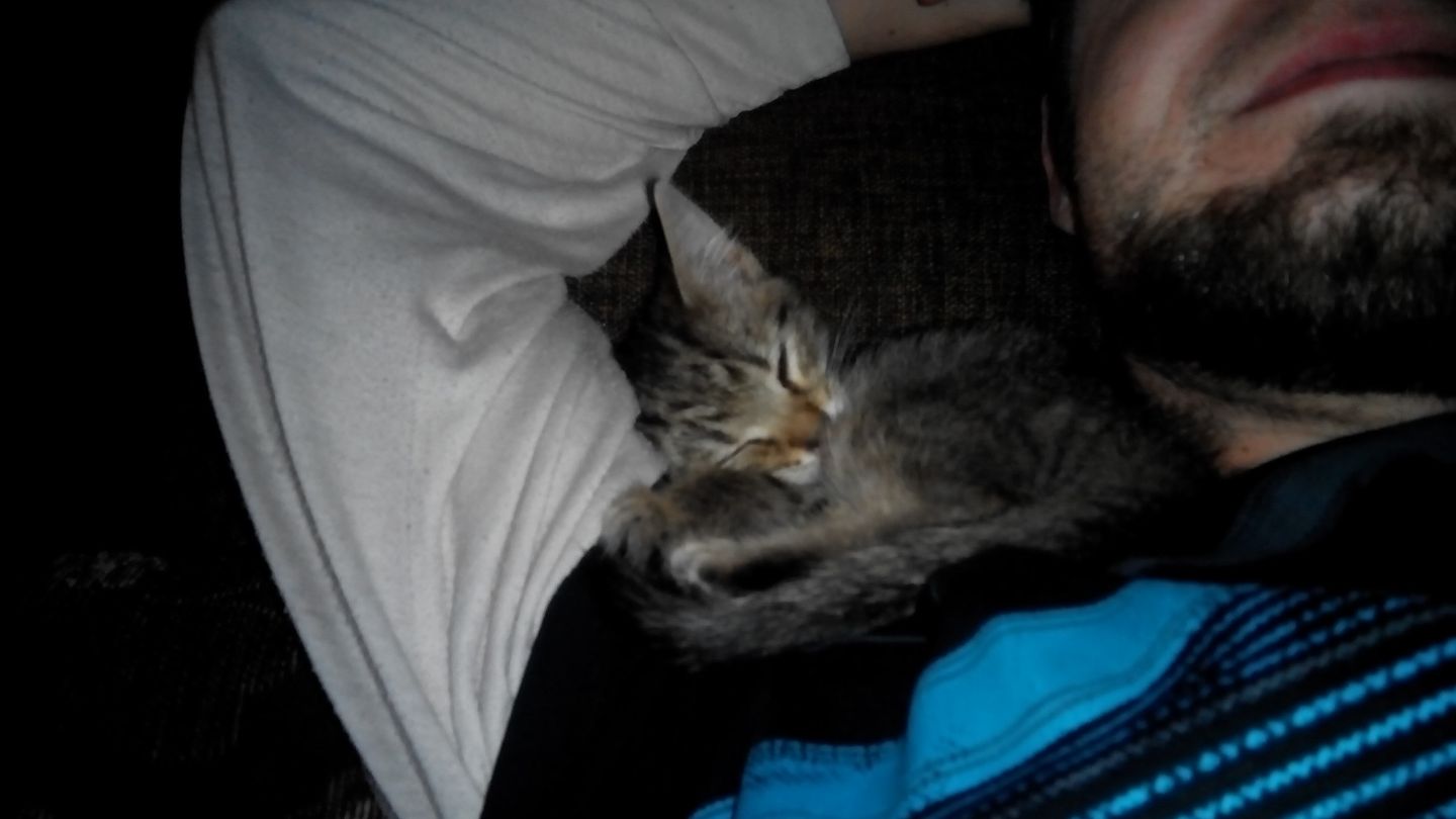 15259749_716801638484442_5843882936997572198_o