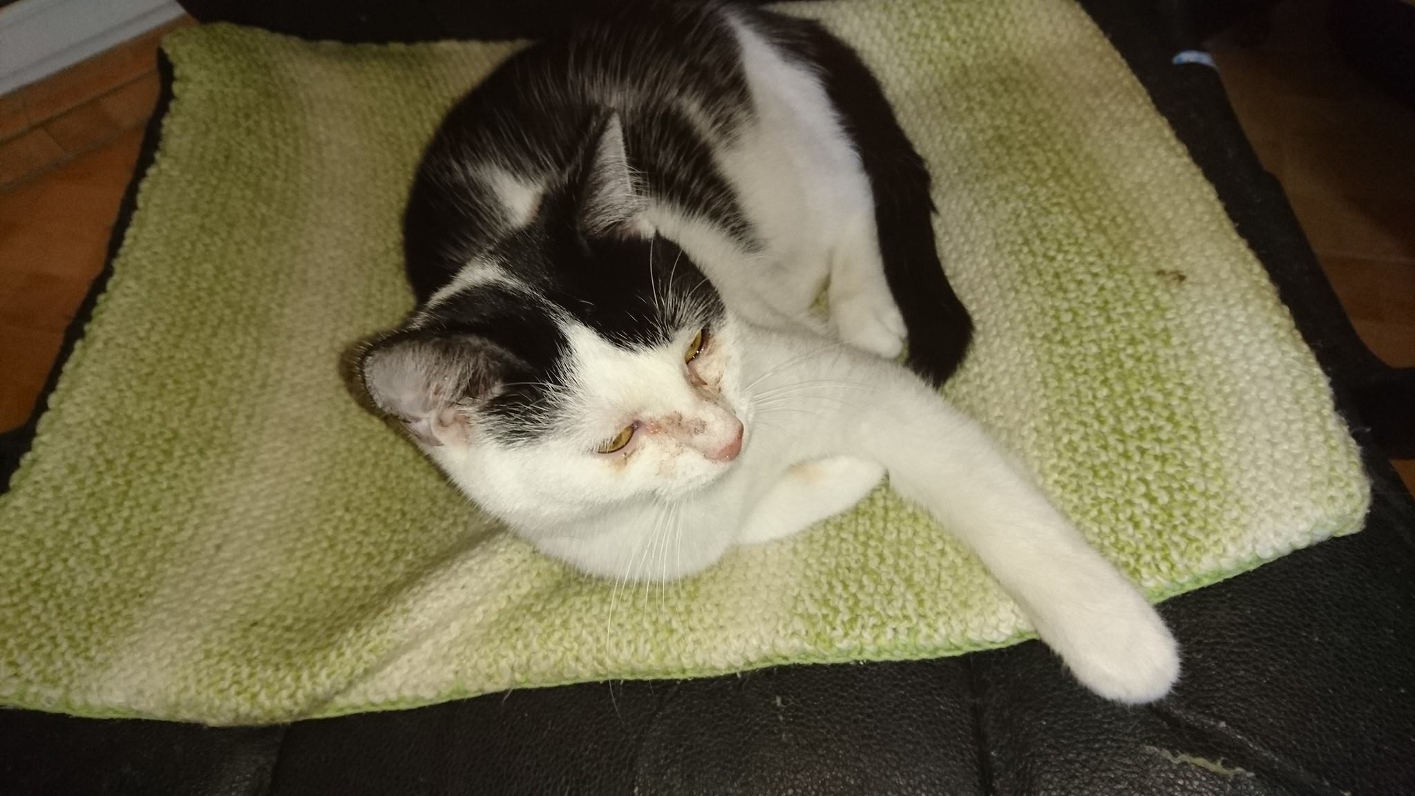 15272064_716877525143520_8224822528159894783_o