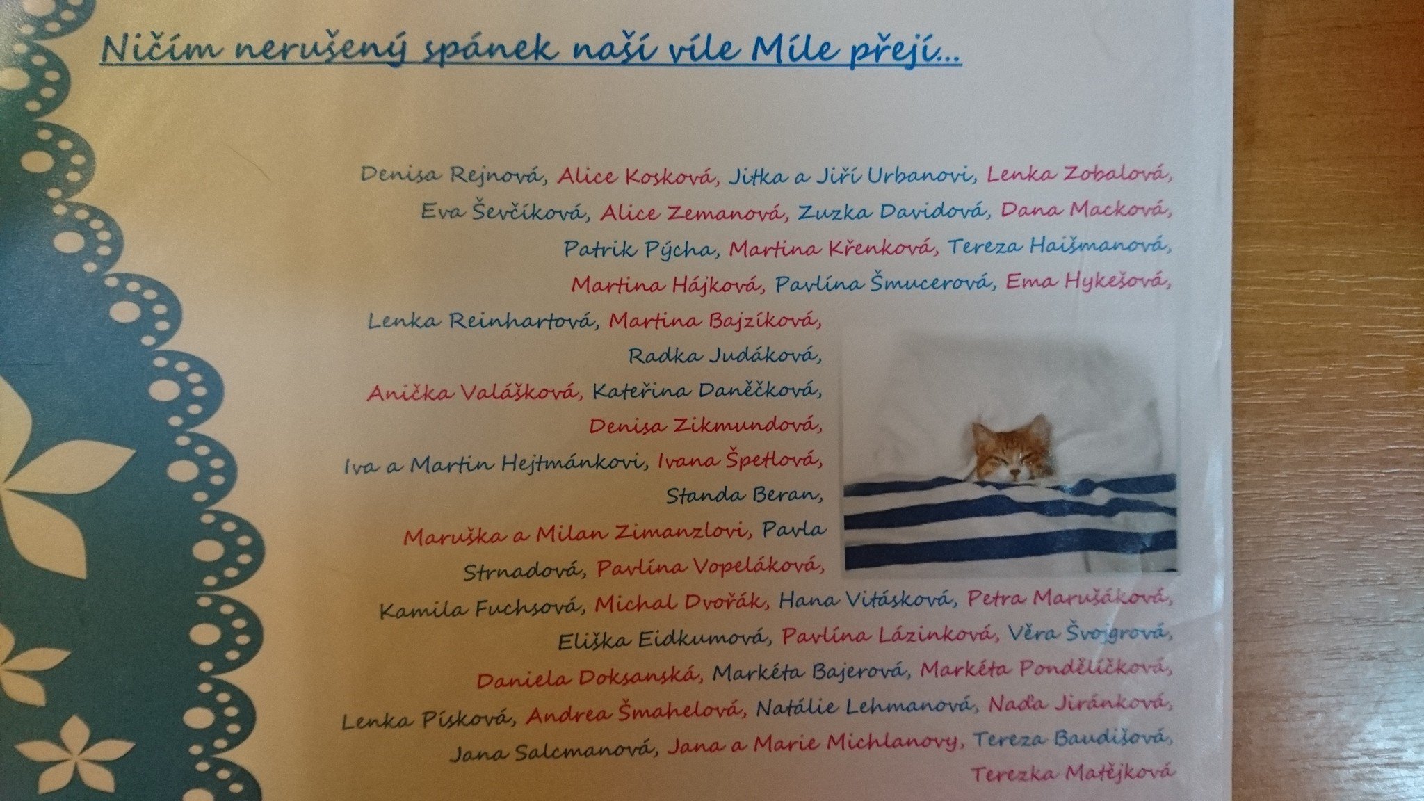 15272244_715322791965660_4022005421306698345_o