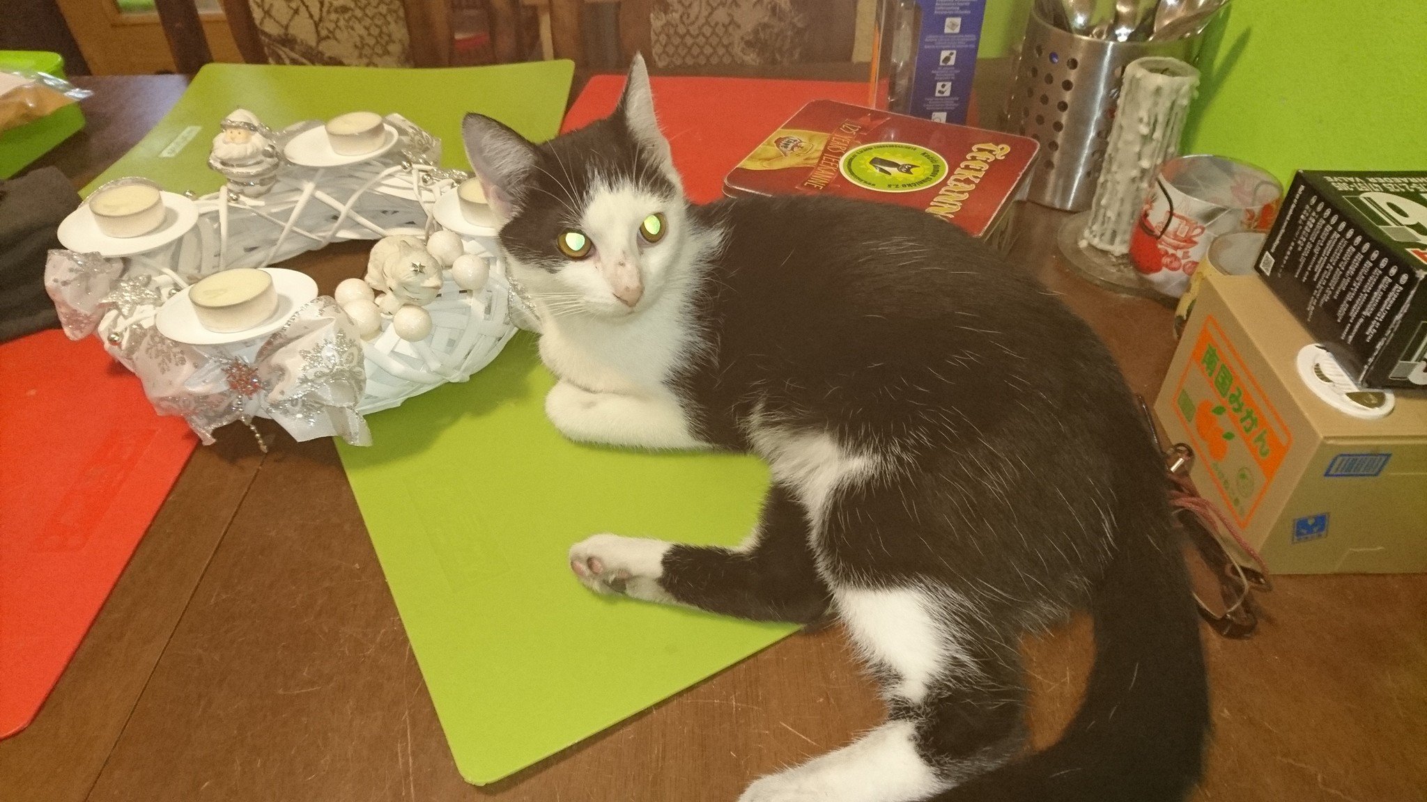 15272300_716881798476426_2533632478121939589_o