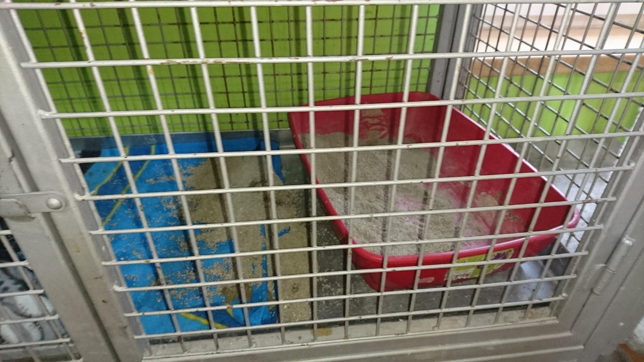 15289343_715375125293760_4271727082464976685_o