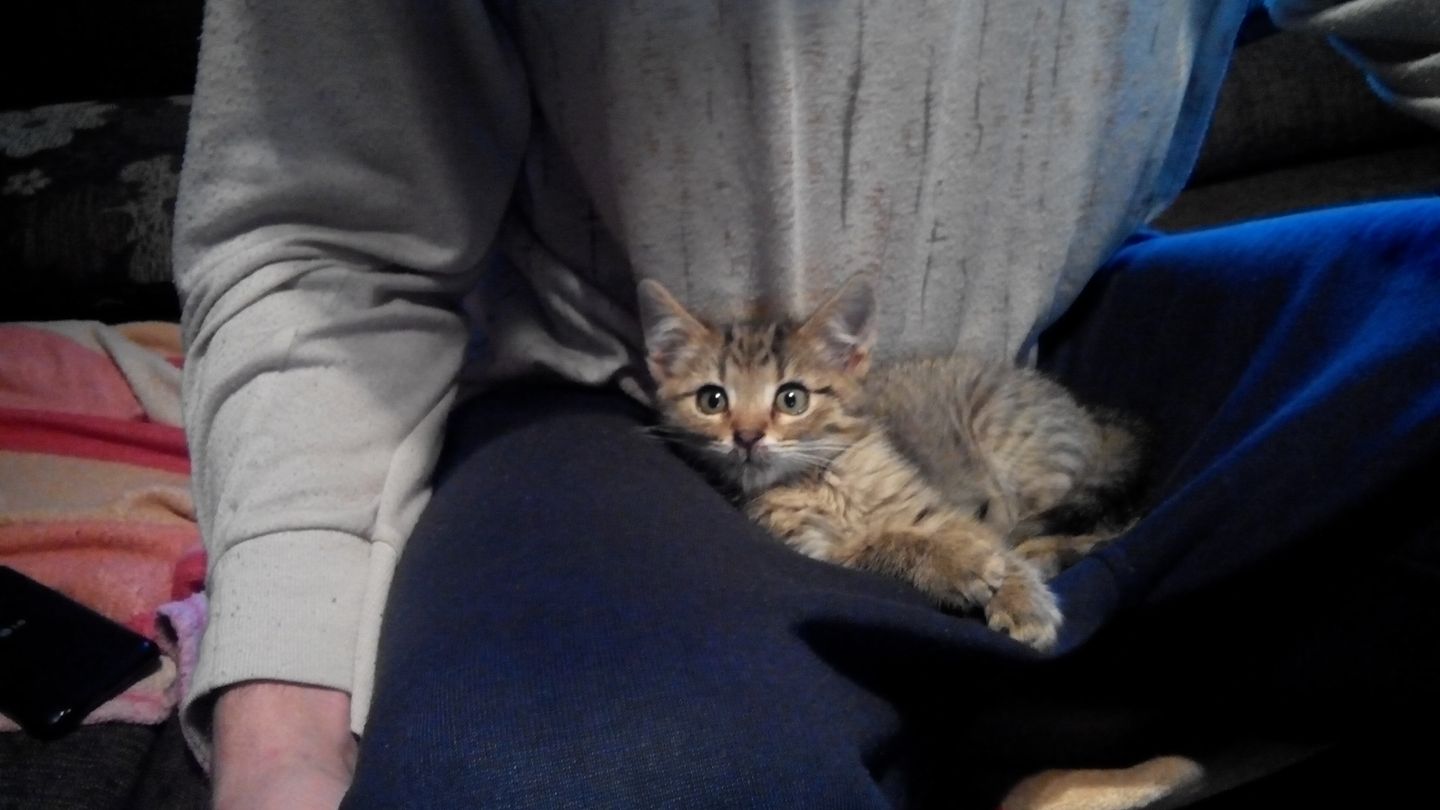 15289348_716801585151114_7711075410613963552_o