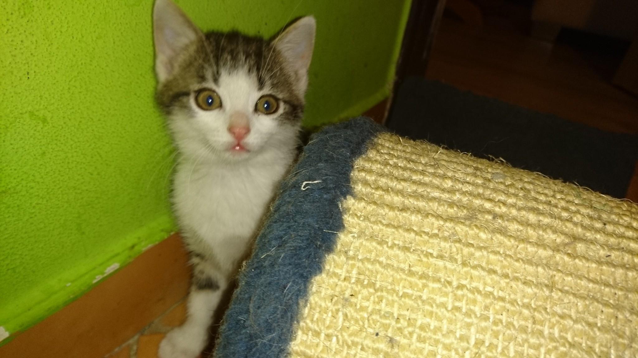 15304563_716882075143065_5432585669146749534_o