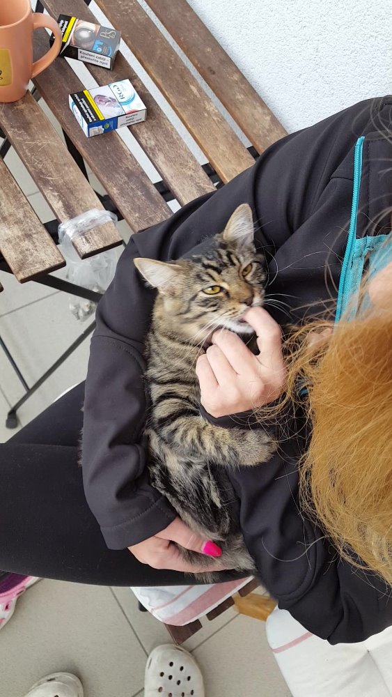 20161027_083400_moment