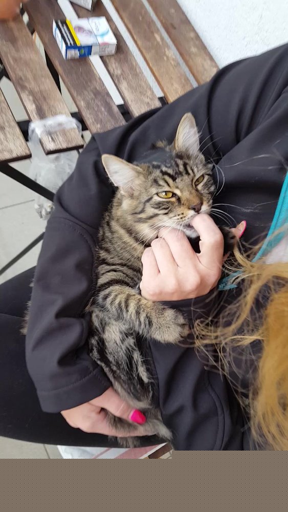 20161027_083400_moment2