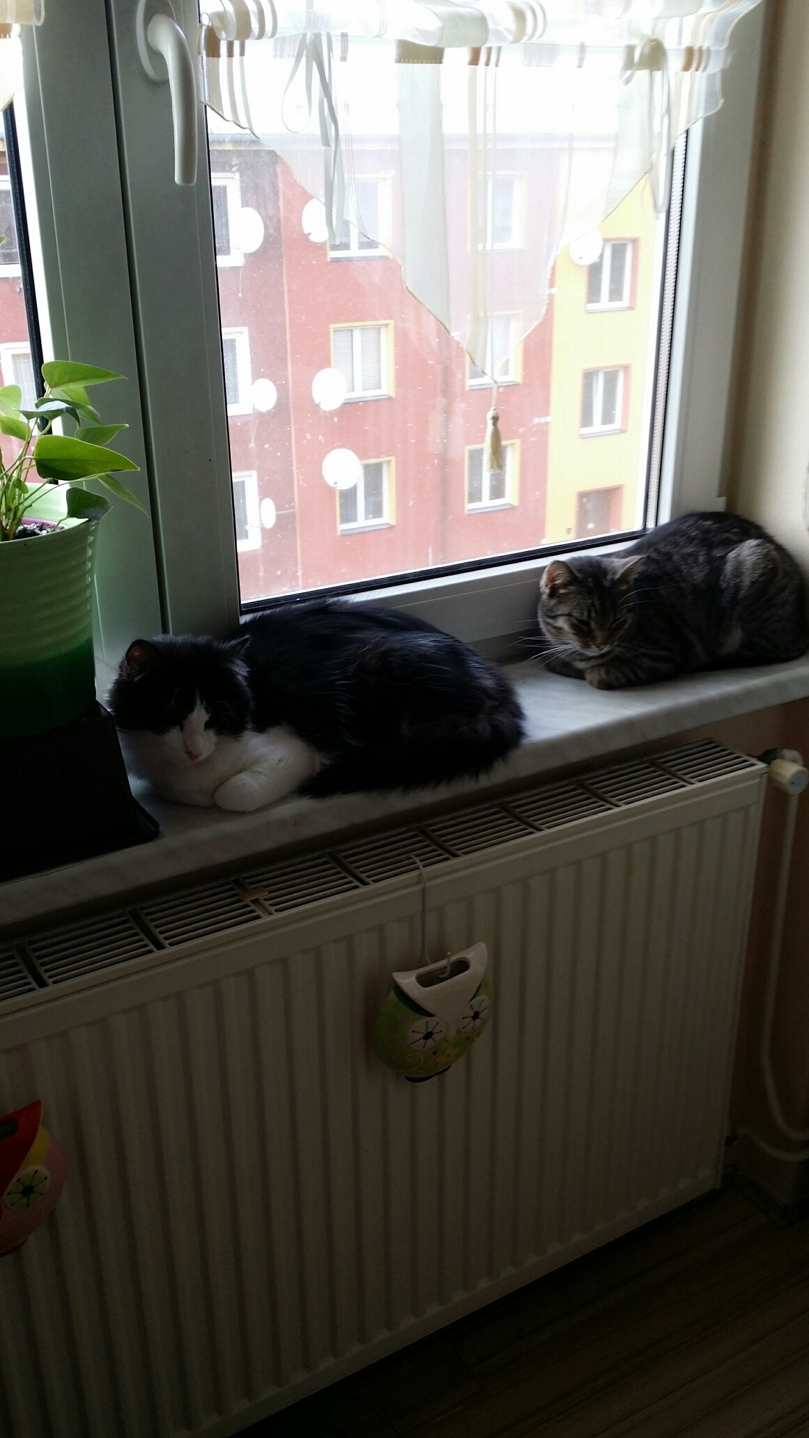 20161031_140702_resized