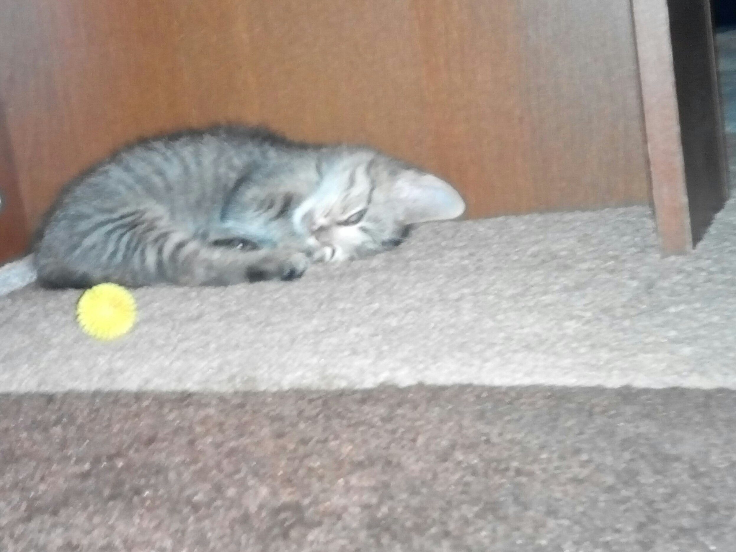 _20161126_142706_285