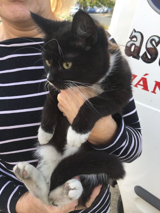 61ffaa5e6452d442b2e7